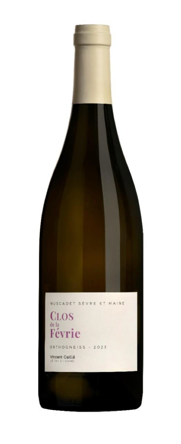 Fay d'Homme Muscadet Sèvre et Maine Clos de la Févrie