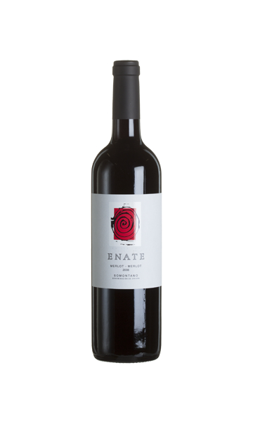 Foto van Bodegas Enate Merlot Merlot fles