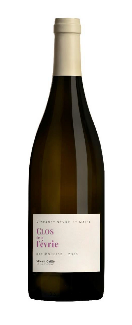 Fay d'Homme Muscadet Sèvre et Maine Clos de la Févrie
