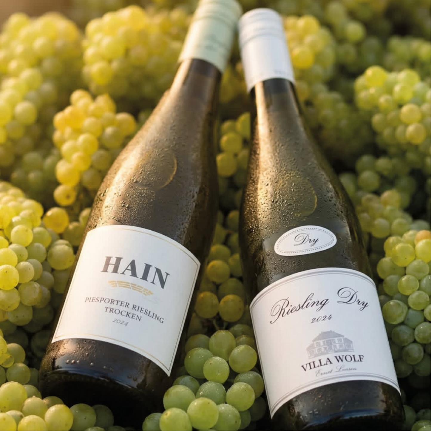 Riesling Voorjaarsdoos